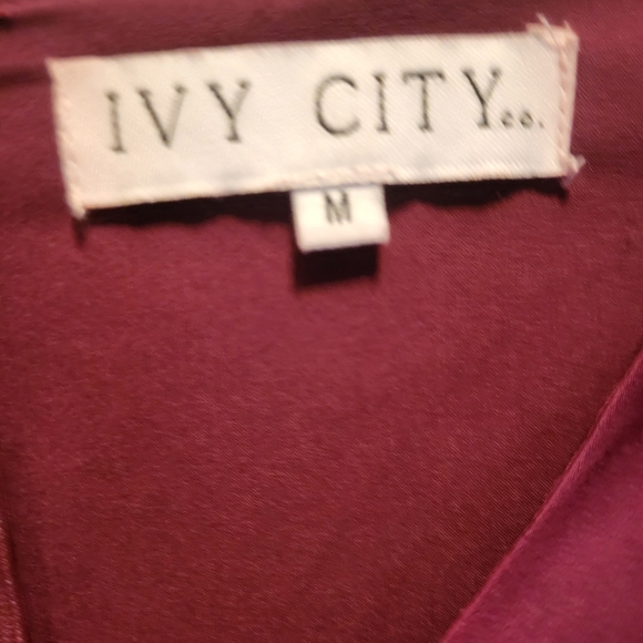 Ivy City Co The Party Dress in Wine M - Picture 8 of 9